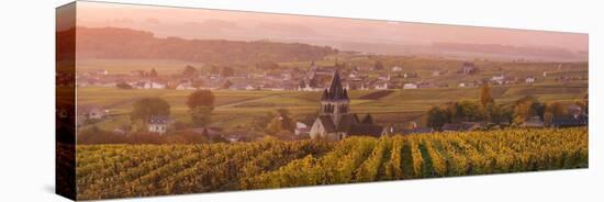 Ville Dommange and its Vineyards, Champagne Ardenne, France-Matteo Colombo-Stretched Canvas