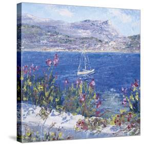 Villefranche Bay-Tania Forgione-Stretched Canvas