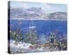 Villefranche Bay.-Tania Forgione-Stretched Canvas