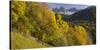 Villnšss Valley, Geisler Group, Gruppo Delle Odle, South Tyrol, Alto Adige, the Dolomites, Italy-Rainer Mirau-Stretched Canvas