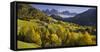 Villnšss Valley, Santa Maddalena, Geisler Group, Gruppo Delle Odle, South Tyrol-Rainer Mirau-Framed Stretched Canvas