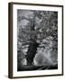 Viloo-Tim Kahane-Framed Photographic Print