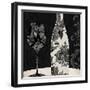 Vin Elegant I-null-Framed Giclee Print