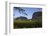 Vinales Valley and Tobacco Crop. Sierra Rosario Mountain Range. Cuba-Pete Oxford-Framed Photographic Print