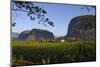 Vinales Valley and Tobacco Crop. Sierra Rosario Mountain Range. Cuba-Pete Oxford-Mounted Photographic Print