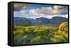 Vinales Valley, Pinar Del Rio Province, Cuba-Jon Arnold-Framed Stretched Canvas