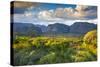 Vinales Valley, Pinar Del Rio Province, Cuba-Jon Arnold-Stretched Canvas