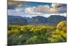 Vinales Valley, Pinar Del Rio Province, Cuba-Jon Arnold-Mounted Photographic Print