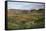 Vinales Valley, UNESCO World Heritage Site, Bathed in Early Morning Sunlight-Lee Frost-Framed Stretched Canvas