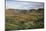 Vinales Valley, UNESCO World Heritage Site, Bathed in Early Morning Sunlight-Lee Frost-Mounted Photographic Print