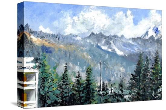 Stretched Canvas Print, , large
