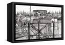 Canvas Black