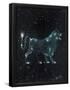 Essential Black