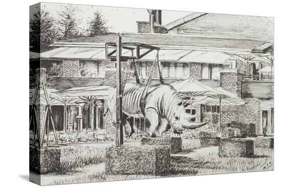 Stretched Canvas Print, , large