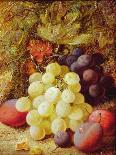 Grapes, Apples and Gooseberries-Vincent Clare-Giclee Print