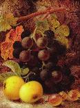 Grapes, Apples and Gooseberries-Vincent Clare-Giclee Print