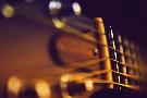Just the Print