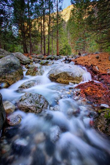 Premium Photographic Print, , large
