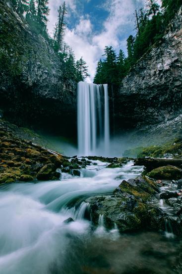 Premium Photographic Print, , large