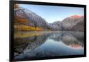 Gramercy Black