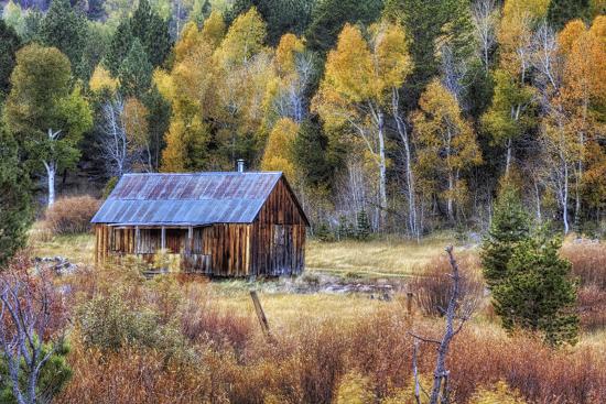 Premium Photographic Print, , large