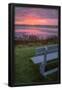 Essential Black