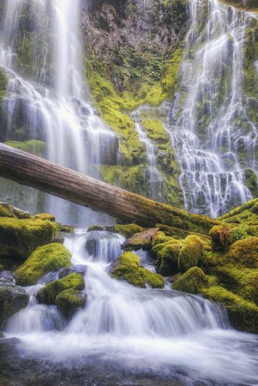 Premium Photographic Print, , large
