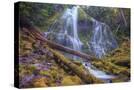 Stretched Canvas