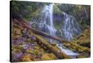 Stretched Canvas