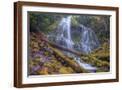 Brown Frame