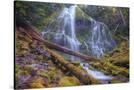 Stretched Canvas