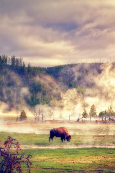 Premium Photographic Print, , large