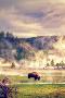 Laminate