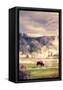 Canvas Black