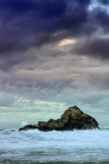 Premium Photographic Print, , large
