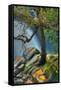 Canvas Black