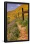 Essential Black