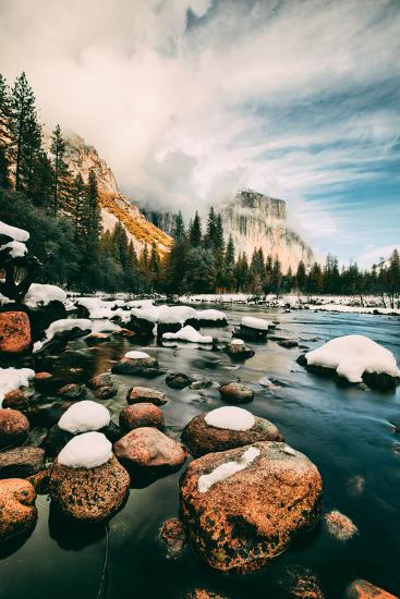 Premium Photographic Print, , large