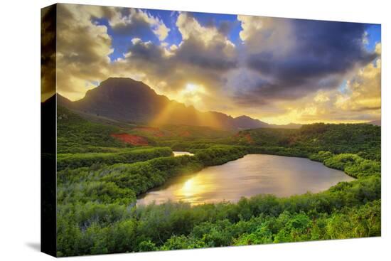 Stretched Canvas Print, , large