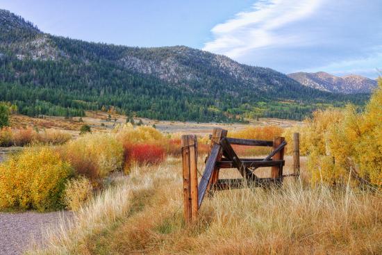 Premium Photographic Print, , large