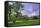 Canvas Black