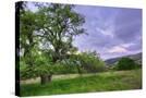 Stretched Canvas