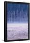 Essential Black