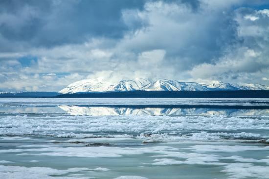 Photographic Print, , large