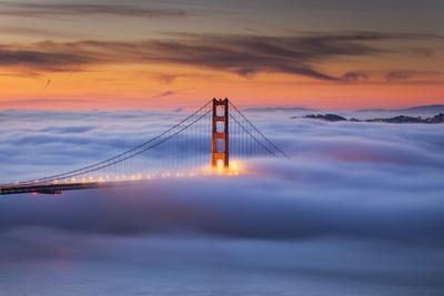 Fuzzy on GG Bridge シルクスクリーン版画 254/300 Fuzzy on GG Bridge シルクスクリーン版画 254/300 Fuzzy on GG Bridge