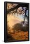 Essential Black