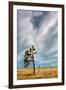 Gramercy Espresso