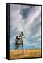 Canvas Black