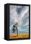 Canvas Black