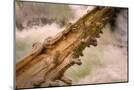 Wood Mount
